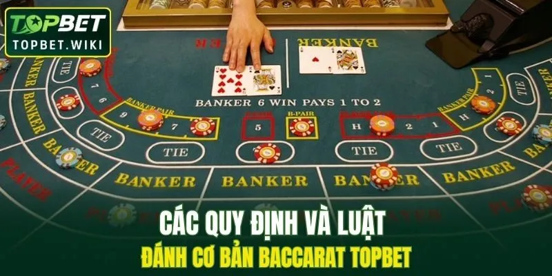 Các quy định và luật đánh cơ bản Baccarat TOPBET