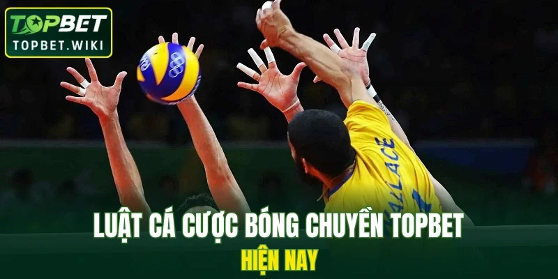 Luật cá cược bóng chuyền TOPBET hiện nay